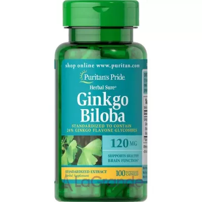 Puritan's Pride Ginkgo Biloba 120 mg ĳ  