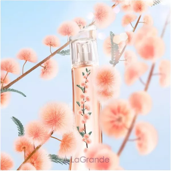 Kenzo Flower by Kenzo Ikebana Mimosa ����������� ����
