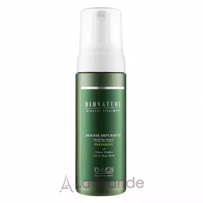 Emmebi Italia BioNatural Mineral Treatment Purifying Mousse     