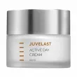 Holy Land Cosmetics Juvelast Active Day Cream     