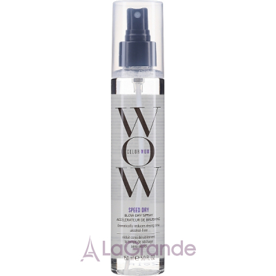 Color WOW Speed Dry Blow-Dry Spray      