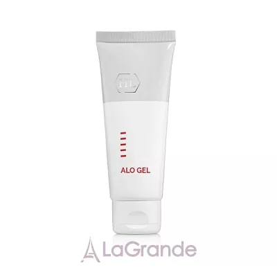 Holy Land Cosmetics Alo Gel      