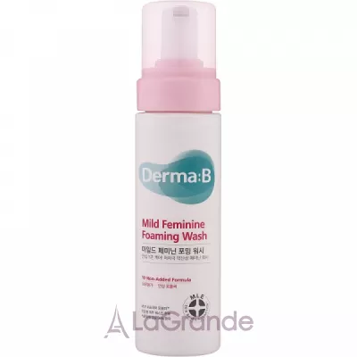 Derma-B Mild Feminine Foaming Wash     