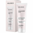 Hollyskin Hyaluronic Acid Face Mask 100ml