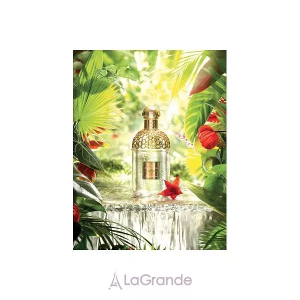 Guerlain Aqua Allegoria Limon Verde ����� (��������� ���� 125 �� + ���� ��� ������ 8,5 ��)