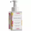 Mr.Scrubber Home Tropical Fruits Perfumed Hand & Body Foarming Soap 450ml