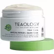 Teaology Matcha Hair Repair Mask    