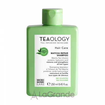 Teaology Matcha Hair Repair Shampoo    