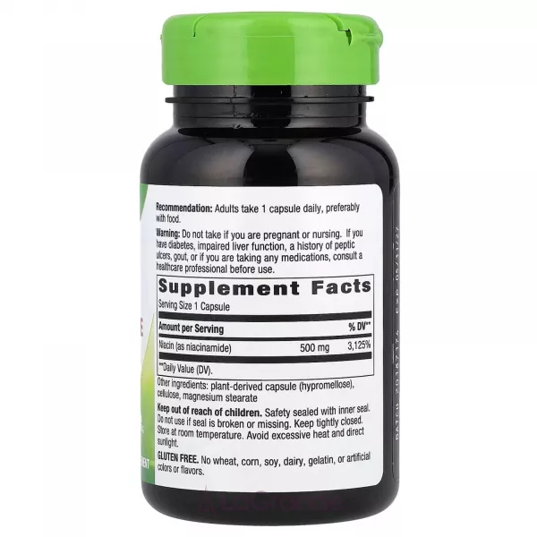 Nature's Way Niacinamide 500 mg ĳ������ ������� 
