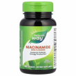 Nature's Way Niacinamide 500 mg 100pcs