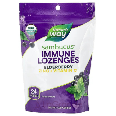 Nature's Way Sambucus Elderberry Zinc + Vitamin C   