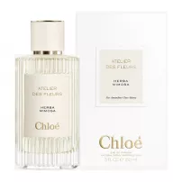 Chloe Atelier Des Fleurs Herba Mimosa ����������� ����