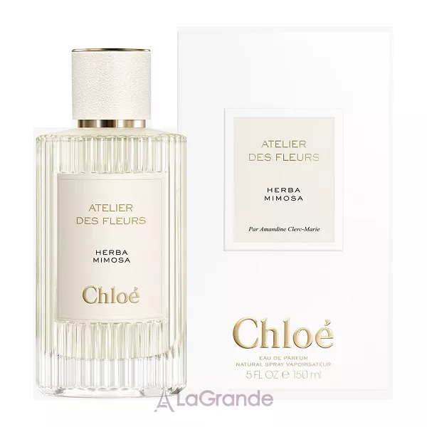 Chloe Atelier Des Fleurs Herba Mimosa ��������������� ����