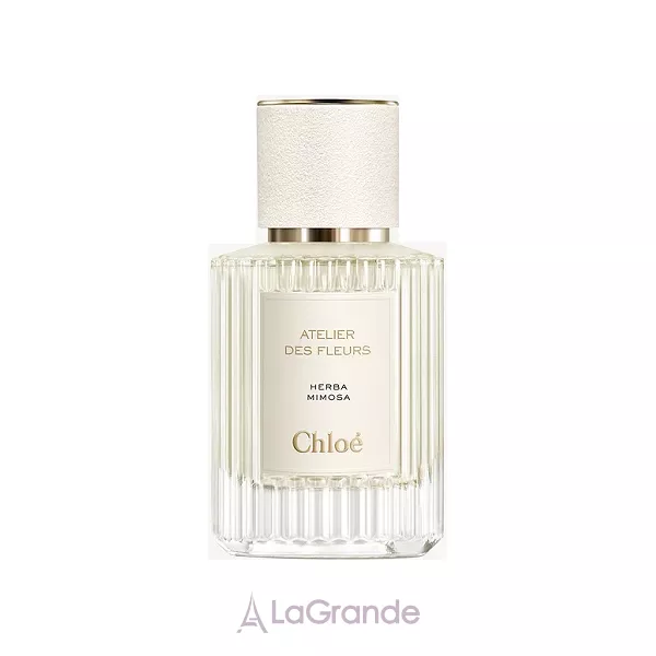 Chloe Atelier Des Fleurs Herba Mimosa ��������������� ����