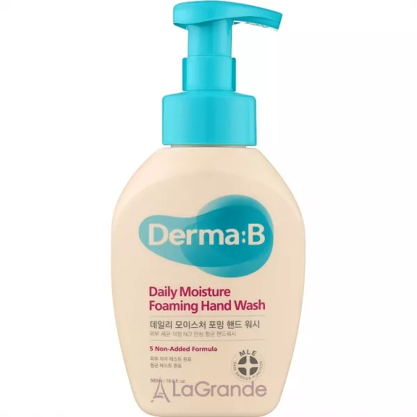 Derma:B Daily Moisture Foaming Hand Wash ����������� ����-����� ��� ���