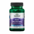 Swanson Zinc Picolinate 22 mg 60pcs