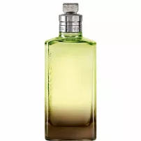 Dries Van Noten Mystic Moss �������� ����  (������)
