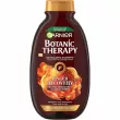 Garnier Botanic Therapy Ginger Recovery Revitalizing Shampoo ³        