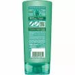 Garnier Fructis Aloe Aqua Bomb  -    