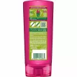 Garnier Fructis Full & Luscious Conditioner -  ,  , 