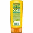 Garnier Fructis Triple Nutrition  -    