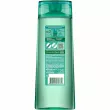 Garnier Fructis Aloe Aqua Bomb Shampoo      