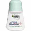 Garnier Mineral Action Control+ 96h Deodorant  -   