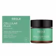 Segle Cellular Plus Facial Cream       