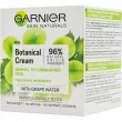 Garnier Skin Naturals Botanical Cream With Grape Water            