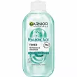 Garnier Skin Naturals Hyaluronic Aloe Toner            ,  