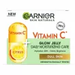 Garnier Skin Naturals Vitamin C Moisturizing Gel               