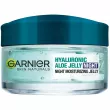 Garnier Skin Naturals Hyaluronic Aloe Night Jelly Moisturizer    -     