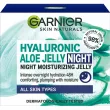 Garnier Skin Naturals Hyaluronic Aloe Night Jelly Moisturizer    -     