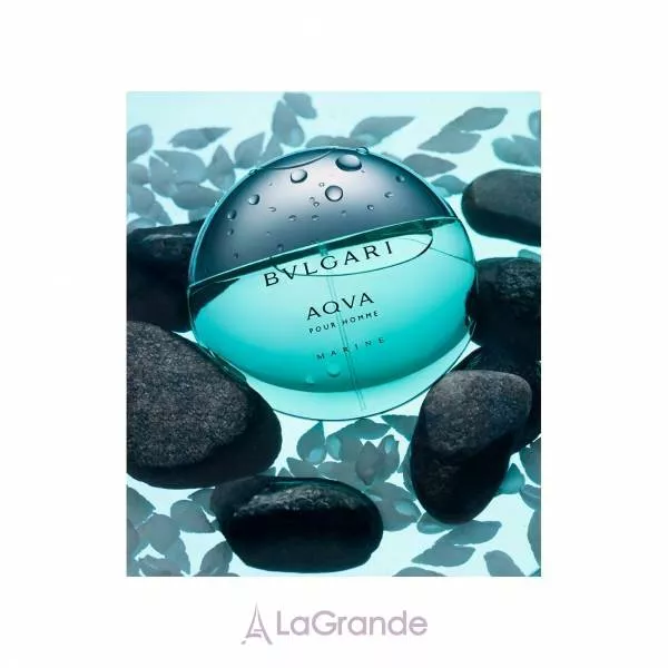 Bvlgari Aqva Marine Pour Homme ���� (�������� ���� 100 �� + �������� 15 ��)