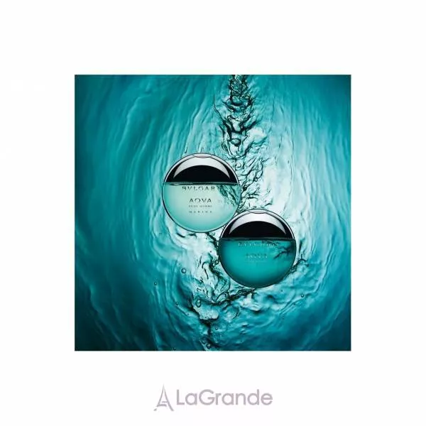 Bvlgari Aqva Marine Pour Homme ���� (�������� ���� 100�� + ������� 150��)