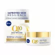 NIVEA Q10 Extra Nourish Anti-Wrinkle Restoring Day Care SPF 15    