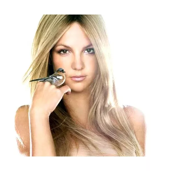 Britney Spears Believe ����� (��������������� ���� 100 �� + ���� ��� ���� 100 ��)