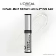 L'Oreal Paris Infaillible 24H Brow Lamination        