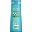 Garnier Fructis Anti-Dandruff Shampoo      ,   