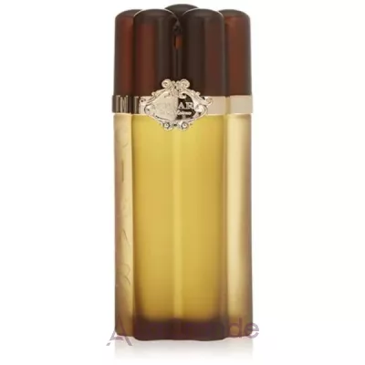 Remy Latour Cigar Mystic Oud  