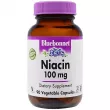 Bluebonnet Nutrition Niacin 100 mg ĳ  