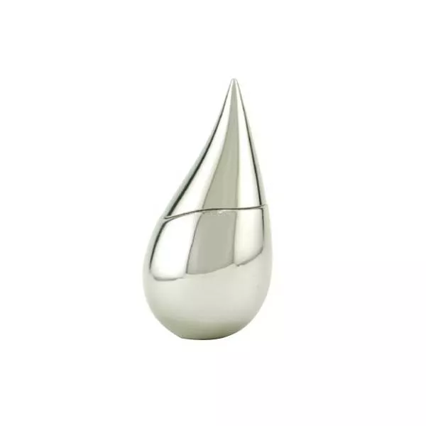La Prairie Silver Rain ���� (����������� ���� 50 �� + ������� ��� ��� 50 �� + ��������))