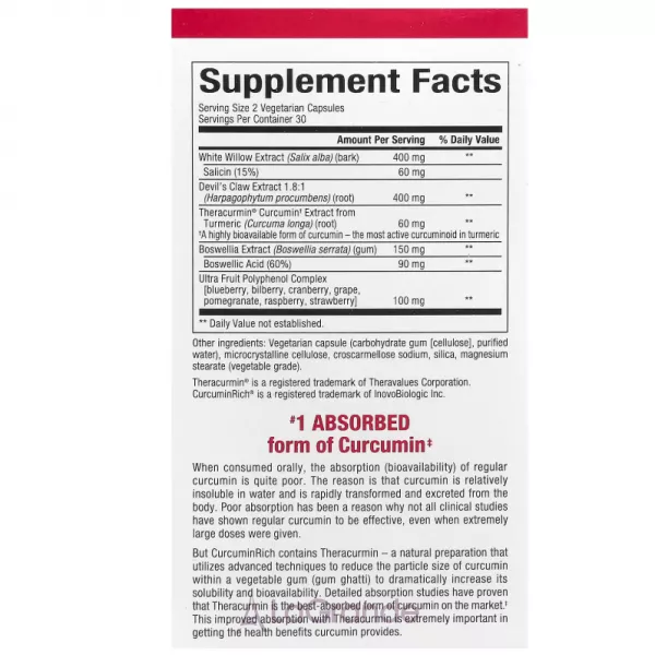 Natural Factors CurcuminRich Joint Curcumizer ������� ��� �������