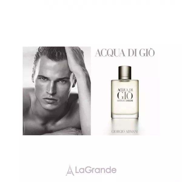 Armani Acqua di Gio Men ����� (��������� ���� 100 �� + ����������-���� 75 ��)