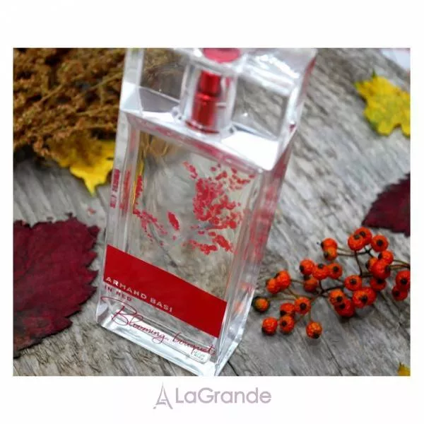 Armand Basi In Red ���� (�������� ���� 50 �� + ������� ��� ��� 100 ��)