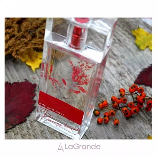 Armand Basi In Red ���� (�������� ���� 100 �� + ������� ��� ��� 100 �� + ���� ��� ���� 100 ��)