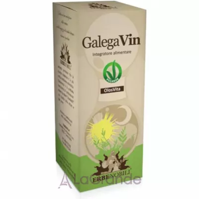 Erbenobili Galegavin     -