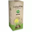 Erbenobili Galegavin 50ml
