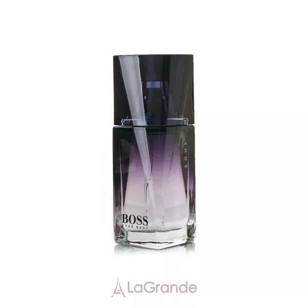 Hugo Boss Boss Soul ��������� ����