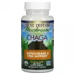 Fungi Perfecti Host Defense Mushrooms Chaga ĳ  